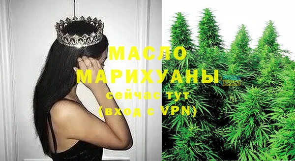 дмт Алексин