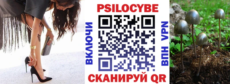 гидра зеркало  Шелехов  Галлюциногенные грибы GOLDEN TEACHER 